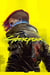 Cyberpunk 2077 – Steam Offline